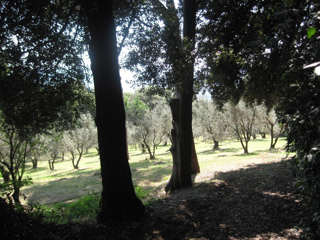 Tenuta Olmatello Quartolo 외부 사진