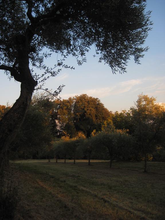 Tenuta Olmatello Quartolo 외부 사진