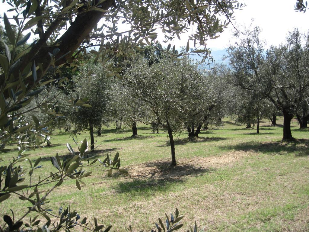 Tenuta Olmatello Quartolo 외부 사진