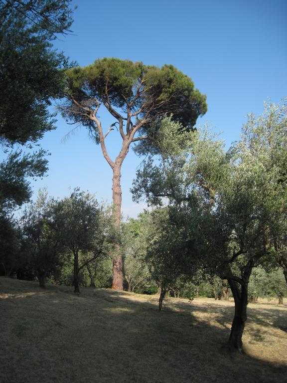 Tenuta Olmatello Quartolo 외부 사진