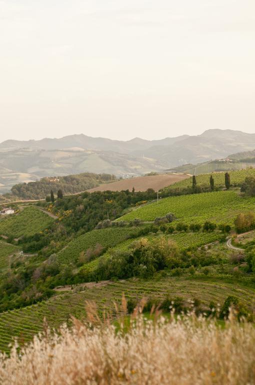 Tenuta Olmatello Quartolo 외부 사진